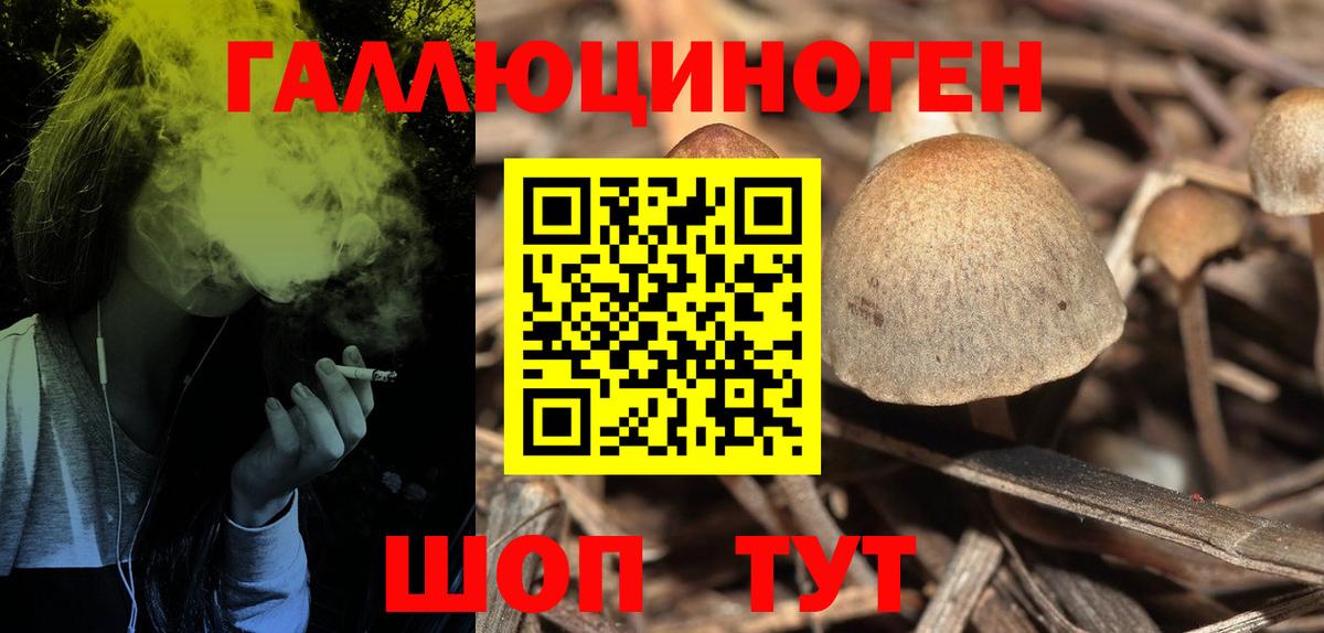 Калининград  Галлюциногенные грибы мицелий  Вход с VPN  Галлюциногенные грибы Psilocybine cubensis 
