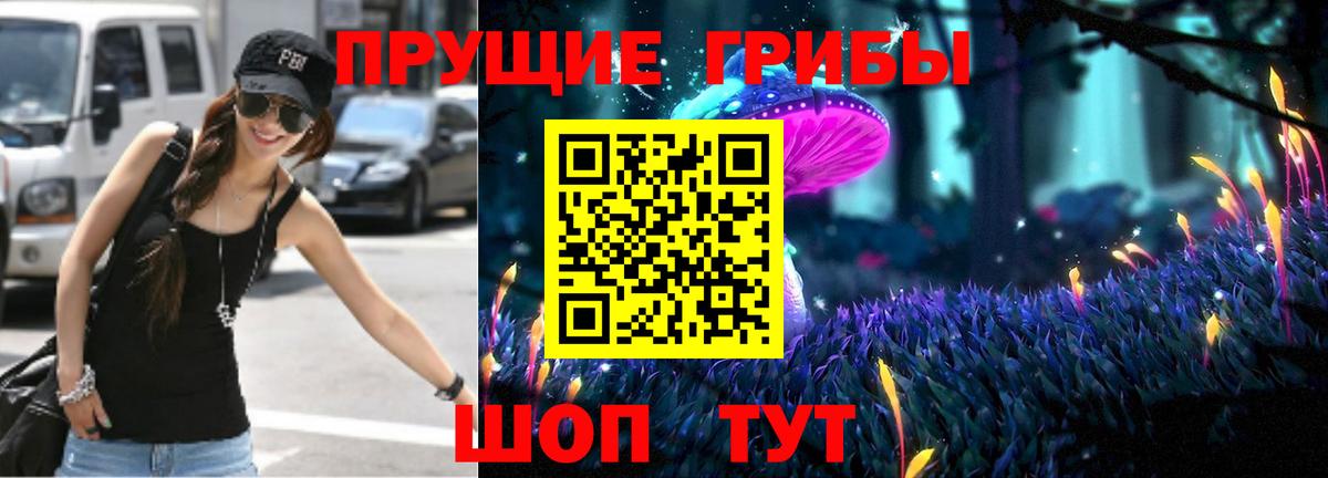 Галлюциногенные грибы прущие грибы Калининград