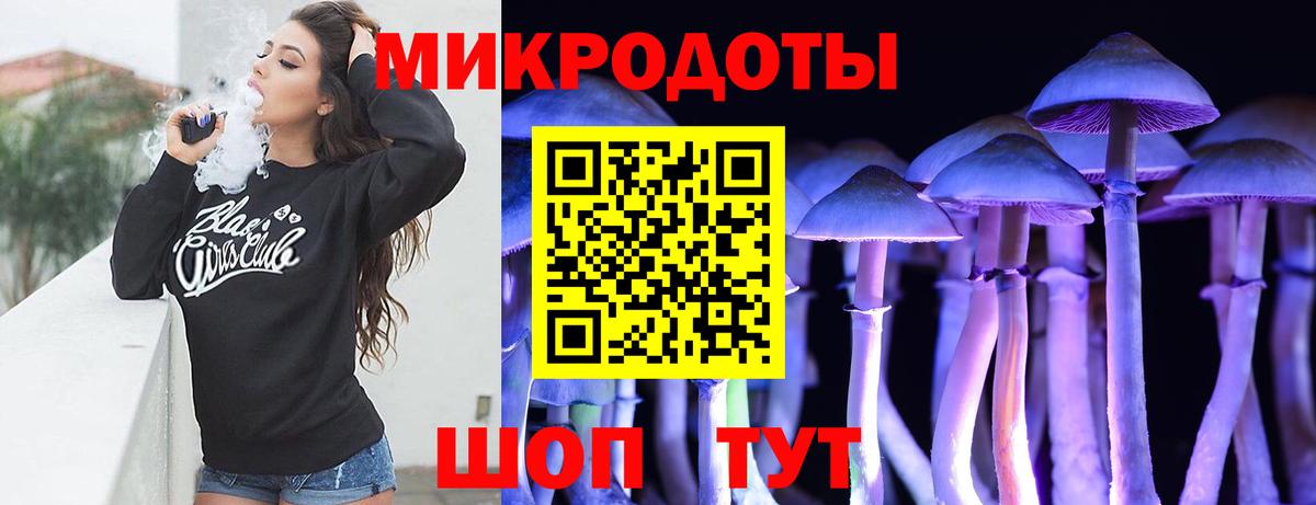 МЕФ Калининград